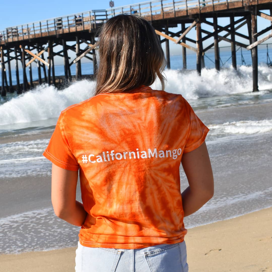 Sunburst Tie Dye T-Shirt – California Mango